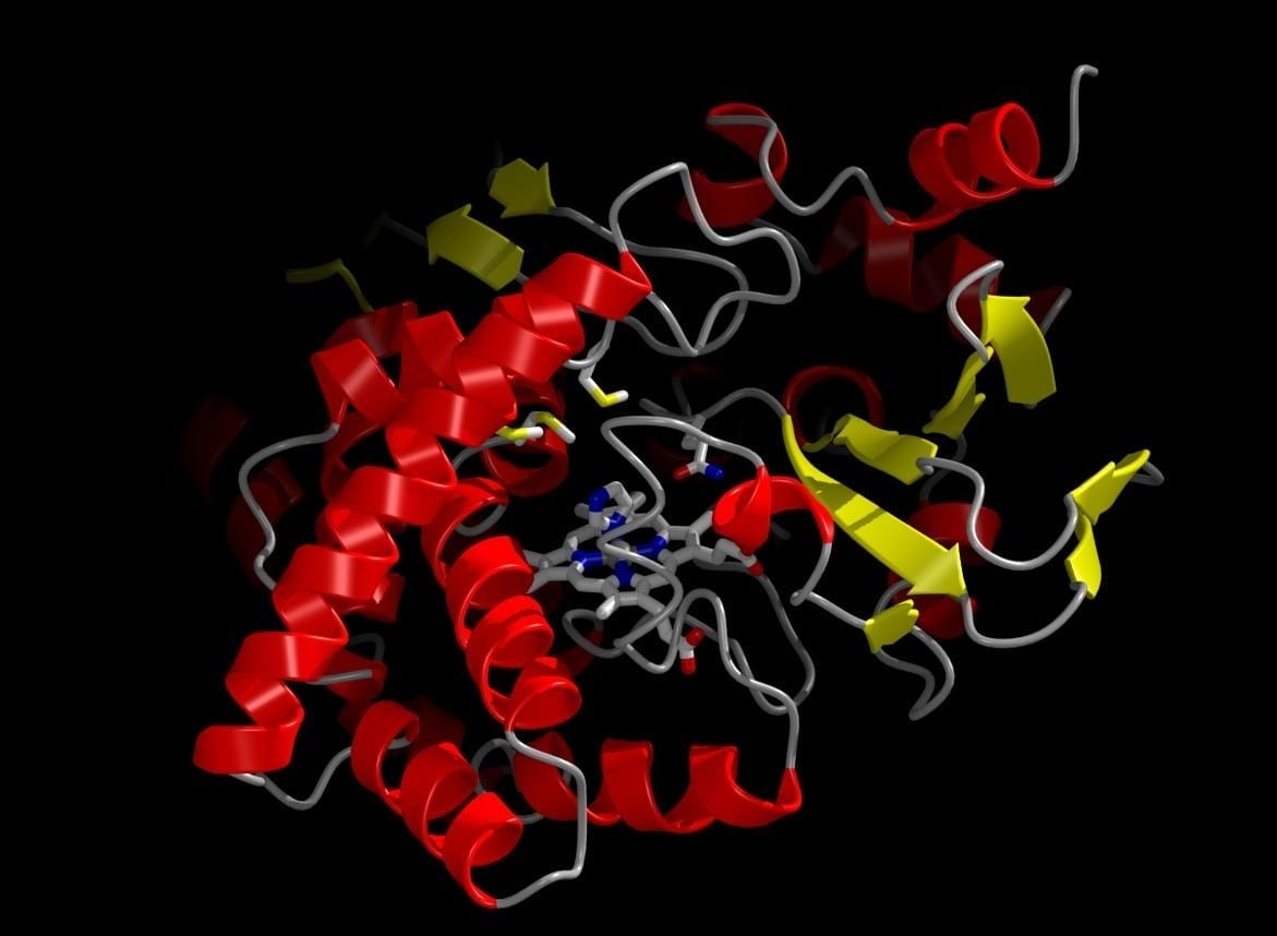 091009 enzymes pollution explosives