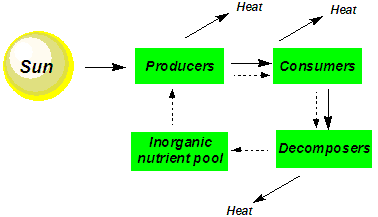 Energy flow