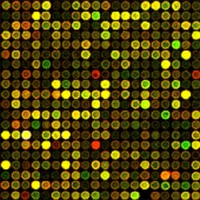 microarray