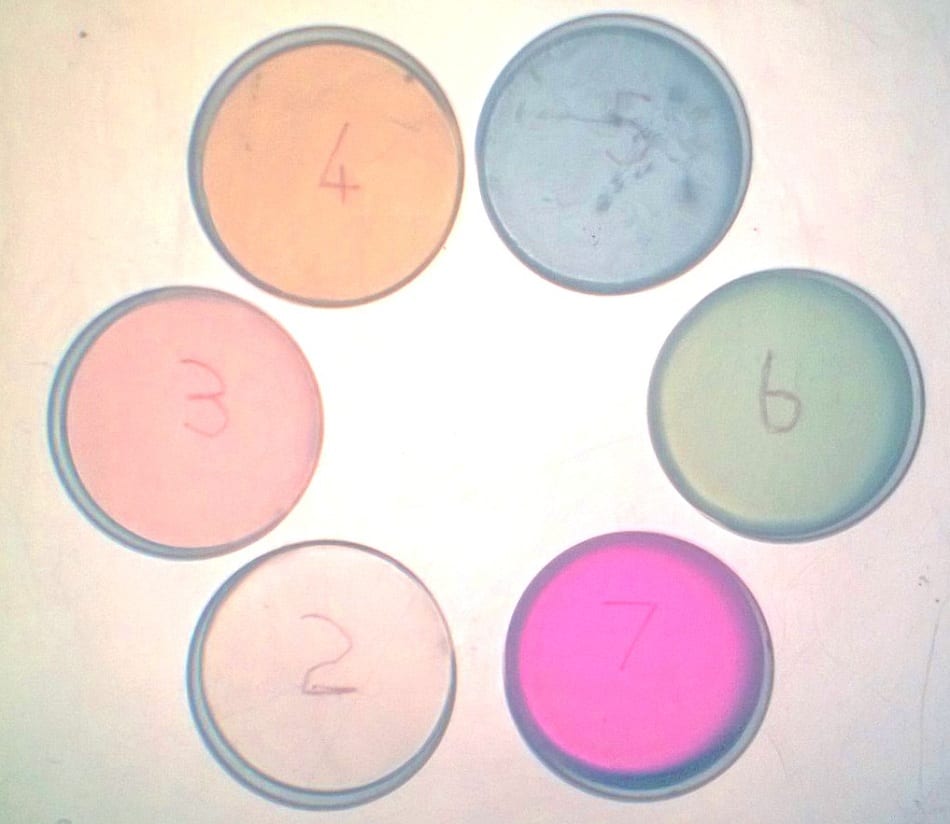 ManganeseOxidation