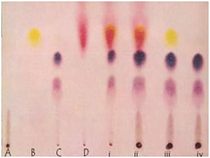 Chromatography