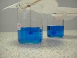 Copper Sulphate Crystals