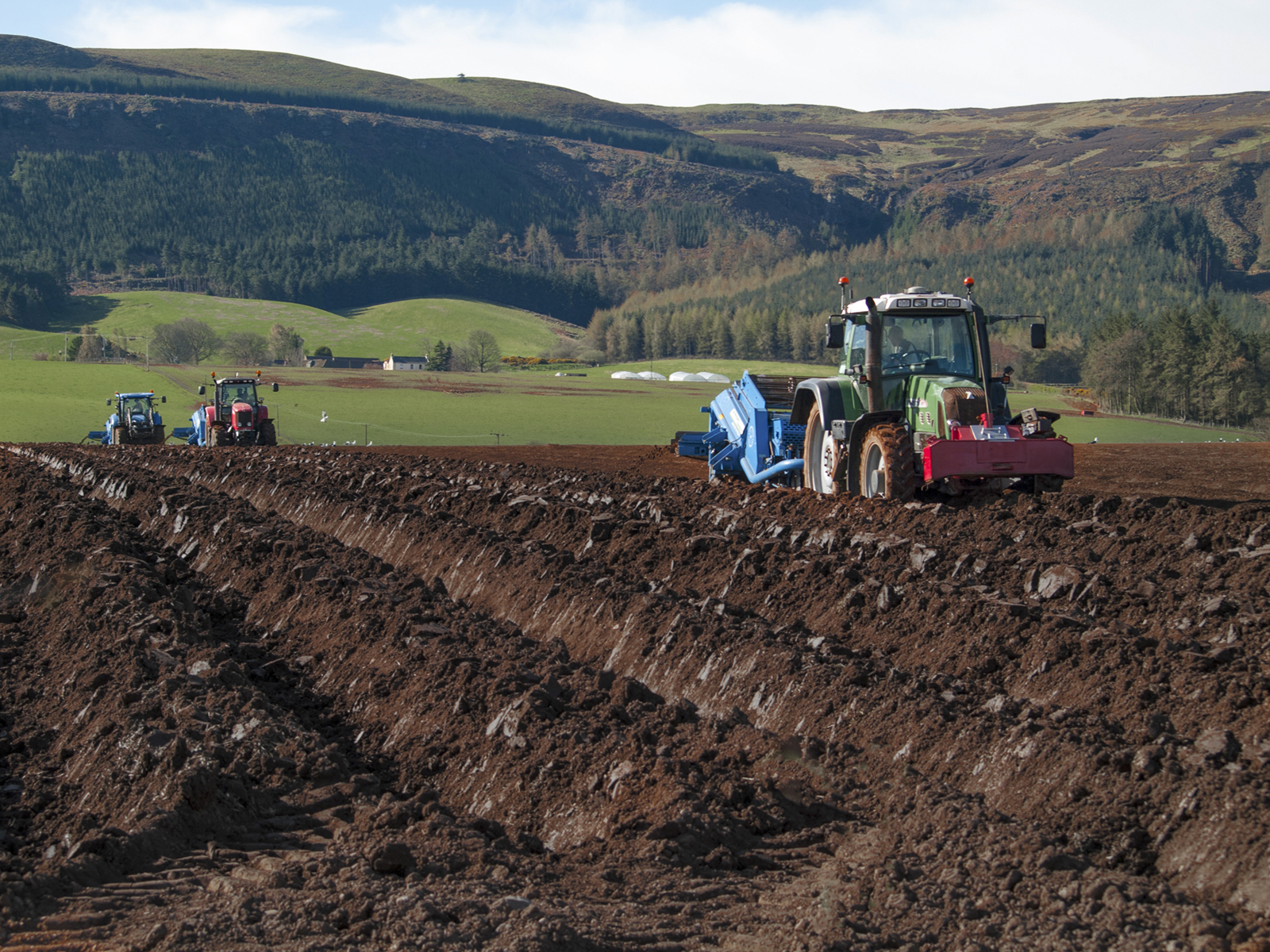 Tractor ploughing a field